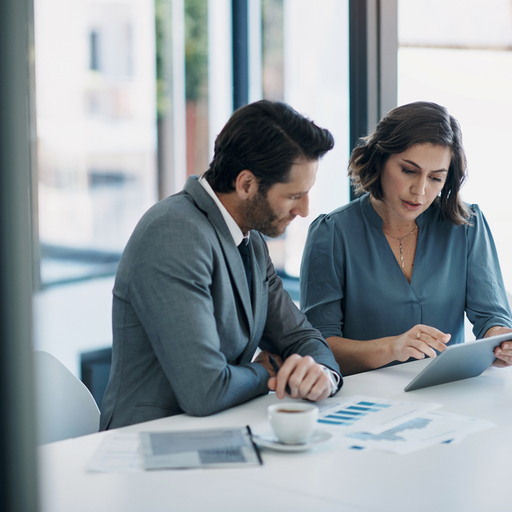 Investment Consulting - example of the work