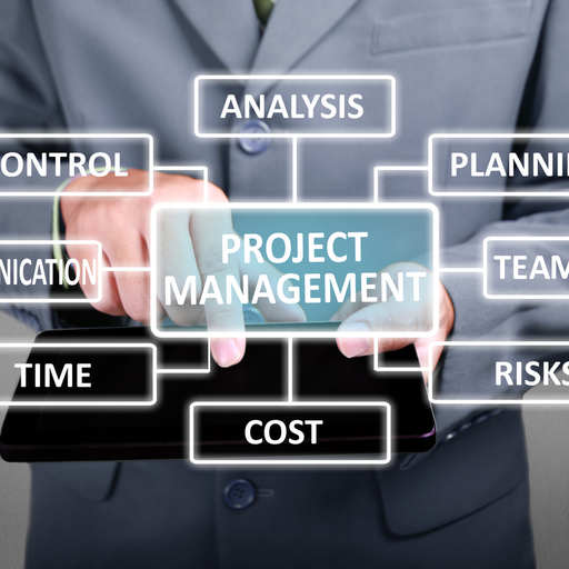 Project Management Consulting
