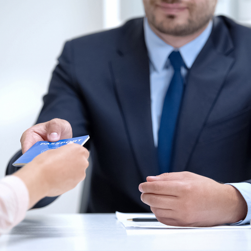 Immigration Consultation (Visa Processing) in London