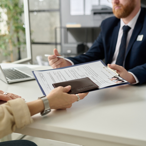 Immigration Consultation (Visa Processing) - example of the work