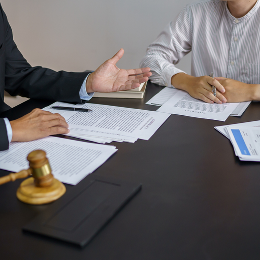 Intellectual Property Law Consultation - example of the work