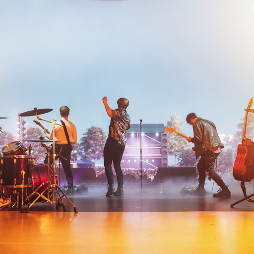 Band Performances with Vocals - local professional at work
