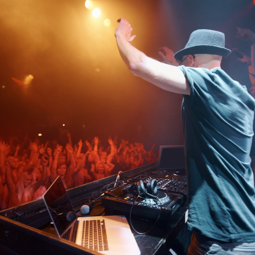 DJ Services for Parties - example of the work