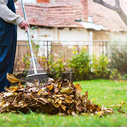 Garden Cleaning